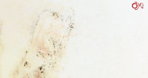 Bí quyết tẩy tường bị mốc nhanh, dễ làm tại nhà