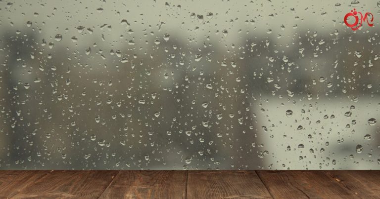 5 thói quen đơn giản giúp hạn chế ẩm mốc mùa mưa