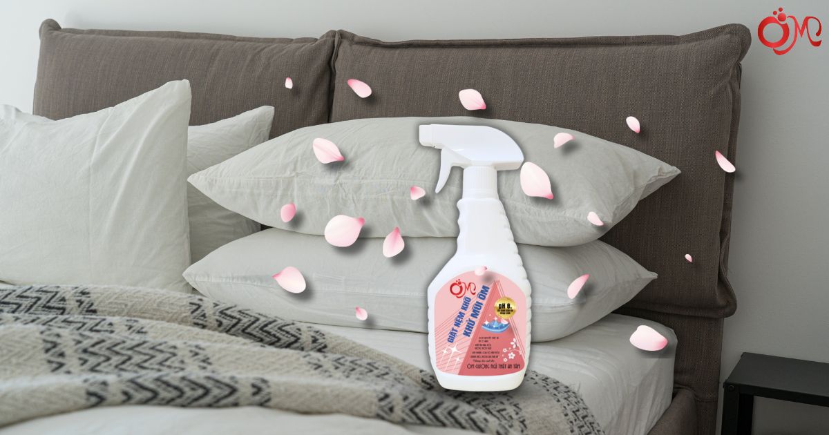 Dung dịch vệ sinh chuyên dụng Ôm vệ sinh nệm bị mốc